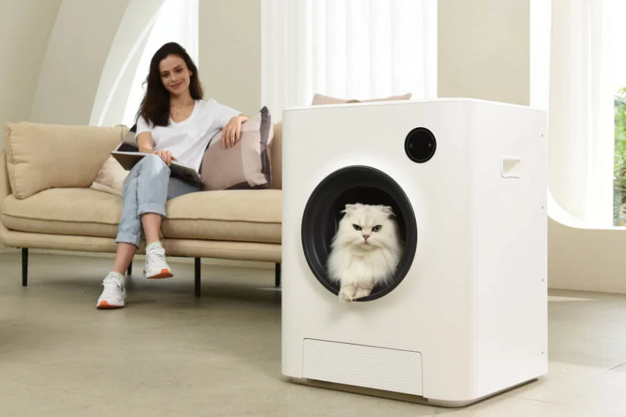 best automatic litter box for cats