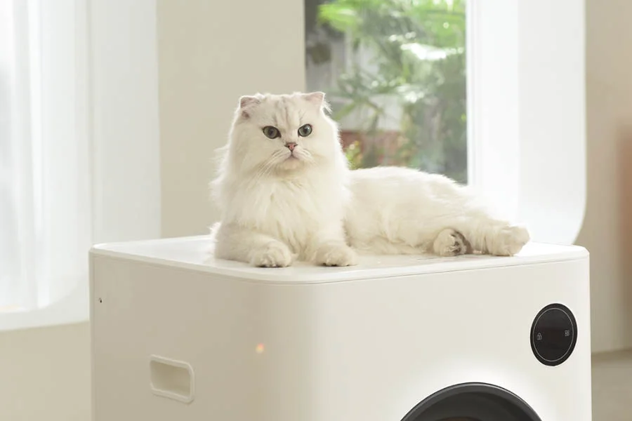 automatic self cleaning kitty litter box